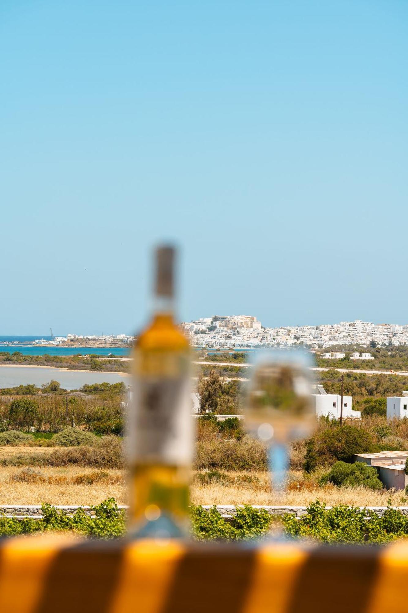 Sunday Luxury Suites Agia Anna  외부 사진