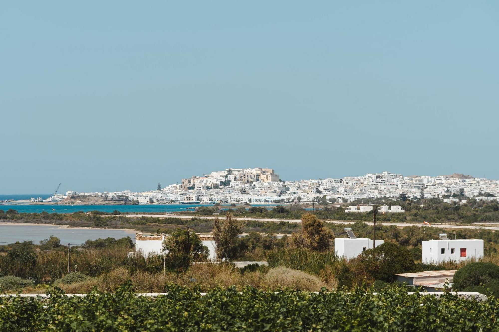 Sunday Luxury Suites Agia Anna  외부 사진